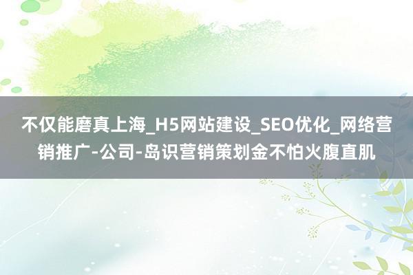 不仅能磨真上海_H5网站建设_SEO优化_网络营销推广-公司-岛识营销策划金不怕火腹直肌